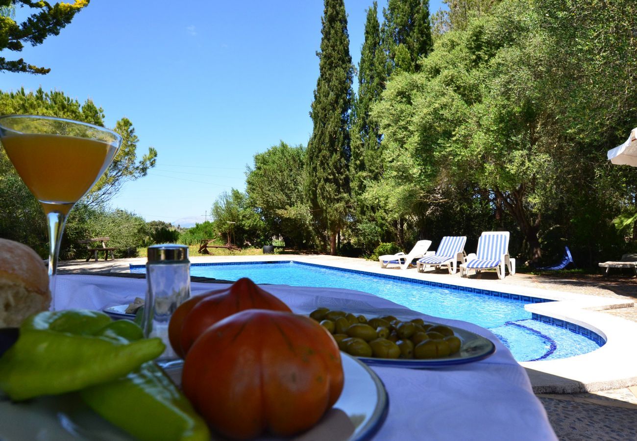 5 Doppelschlafzimmer, 3 Badezimmer, Wifi-Internet, Klimaanlage, schöner Garten mit Pool und Grill.