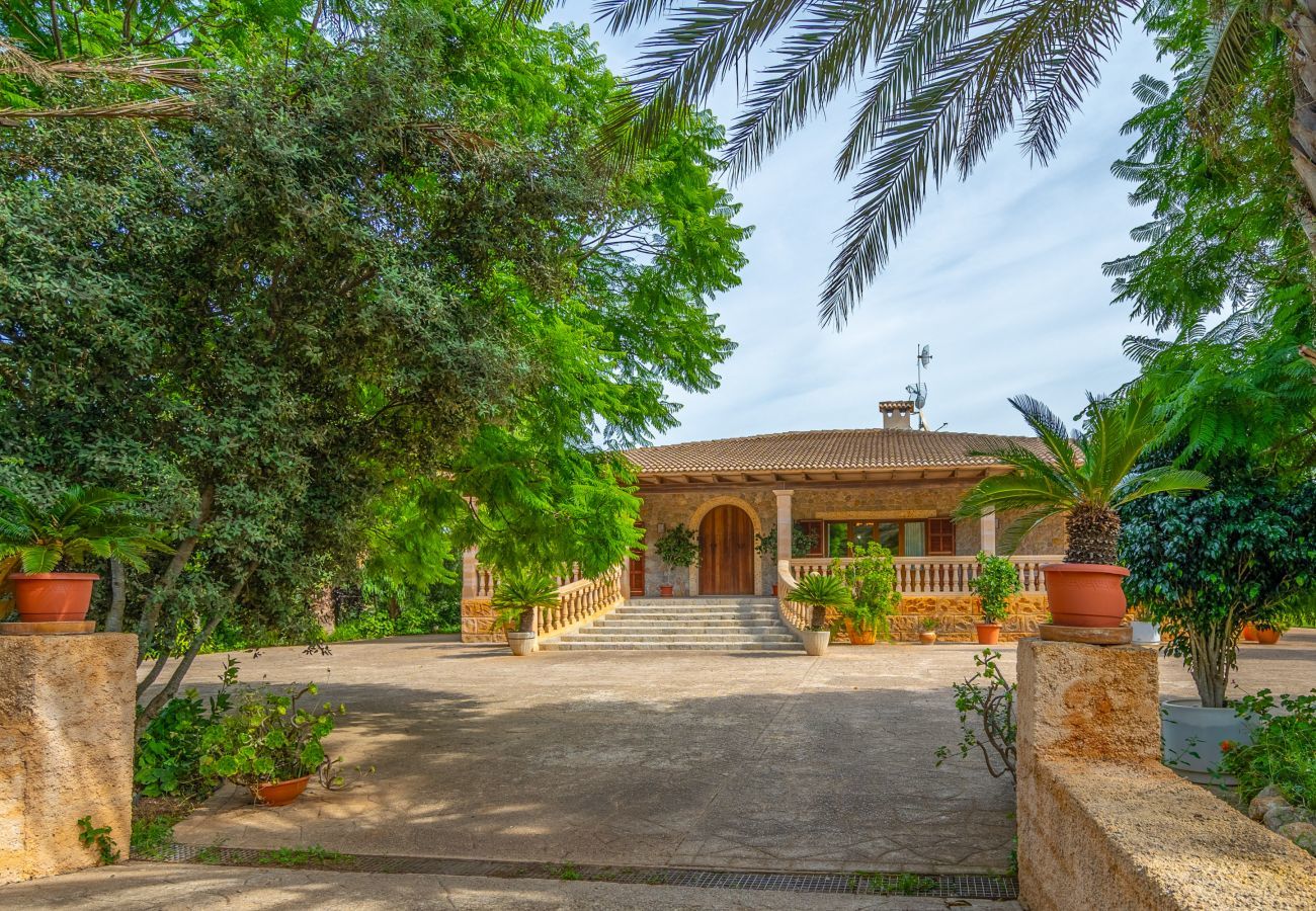 Villa in Buger - Dofi Blau, Villa 5StarsHome Mallorca