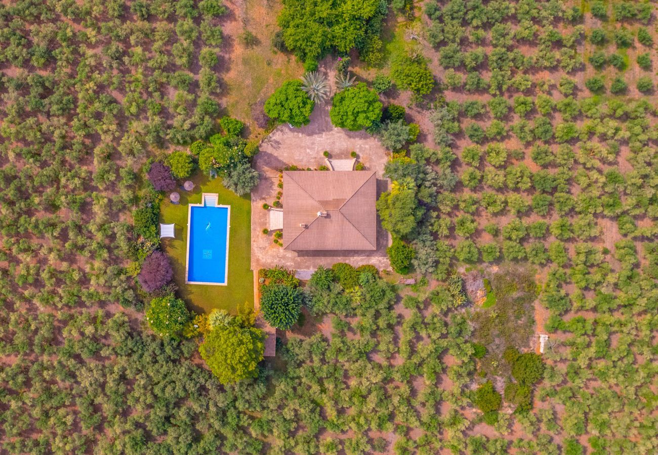 Villa in Buger - Dofi Blau, Villa 5StarsHome Mallorca