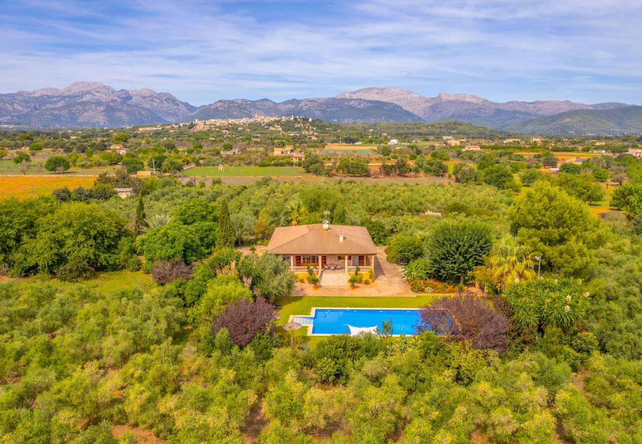 Villa in Buger - Dofi Blau, Villa 5StarsHome Mallorca