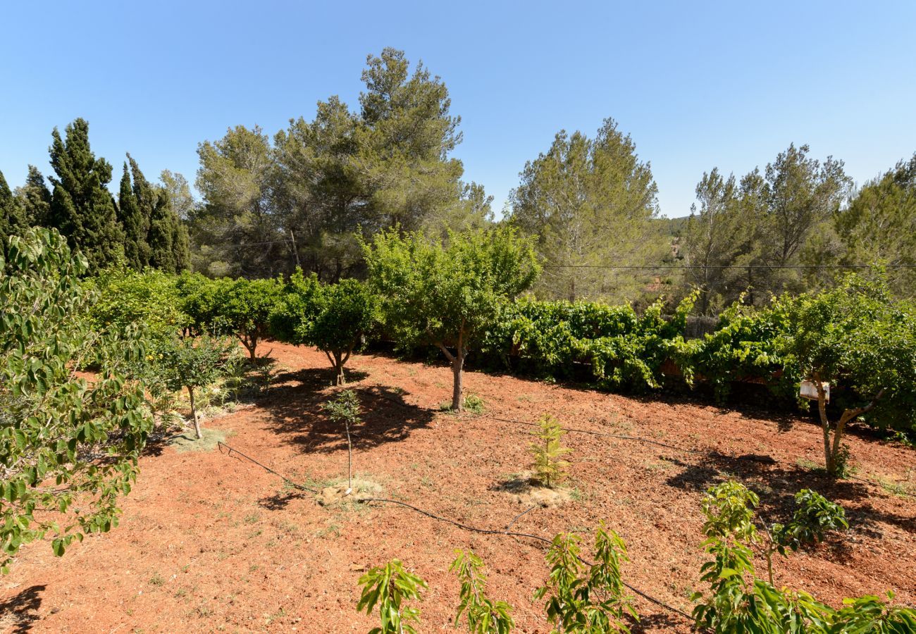 Finca in San Rafael de Sa Creu/ Sant Rafael de Sa Creu - Can Safres Raco, Finca 5StarsHome Ibiza