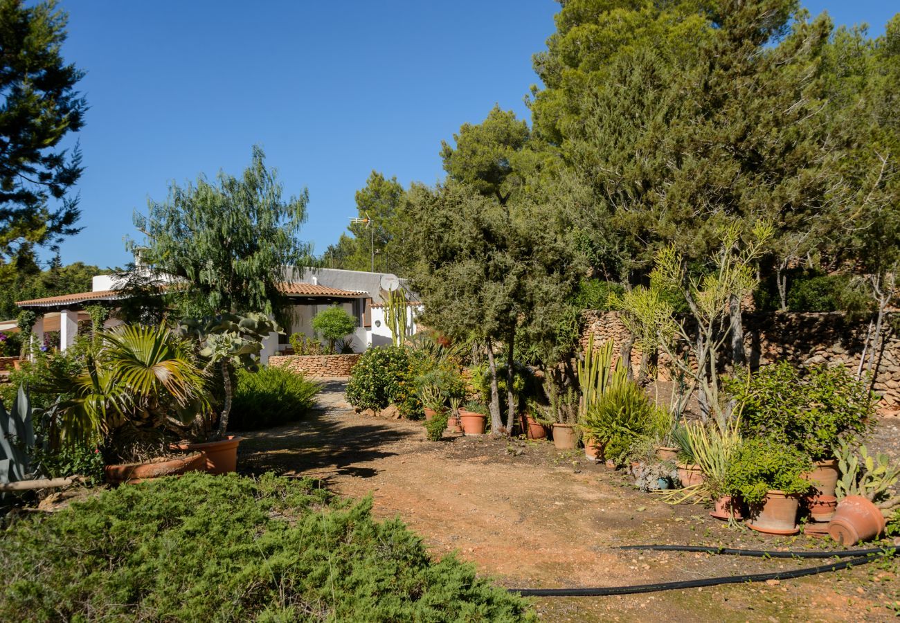 Finca in San Carlos/ Sant Carles de Peralta - Can Patri, Finca 5StarsHome Ibiza