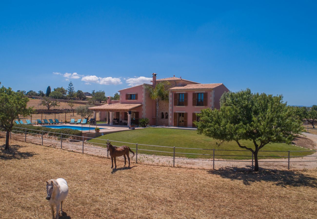 Finca in Manacor - Rancho Son Gener, Finca 5StarsHome Mallorca