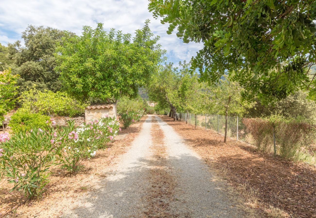 Finca in Esporlas - Aire Can Pieres, Finca 5StarsHome Mallorca