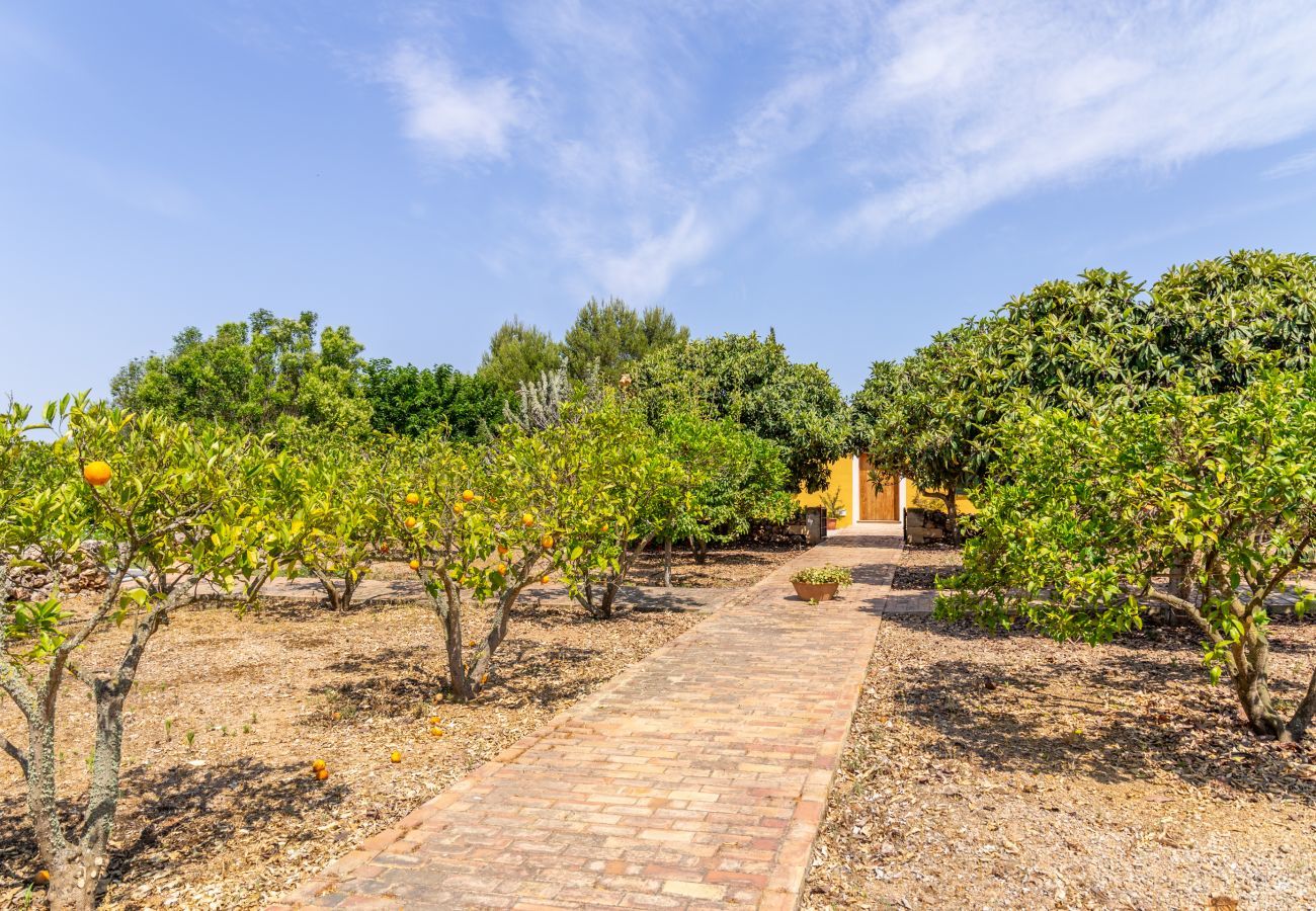 Finca in Manacor - Ses Cases Son Blat, Finca 5StarsHome Mallorca