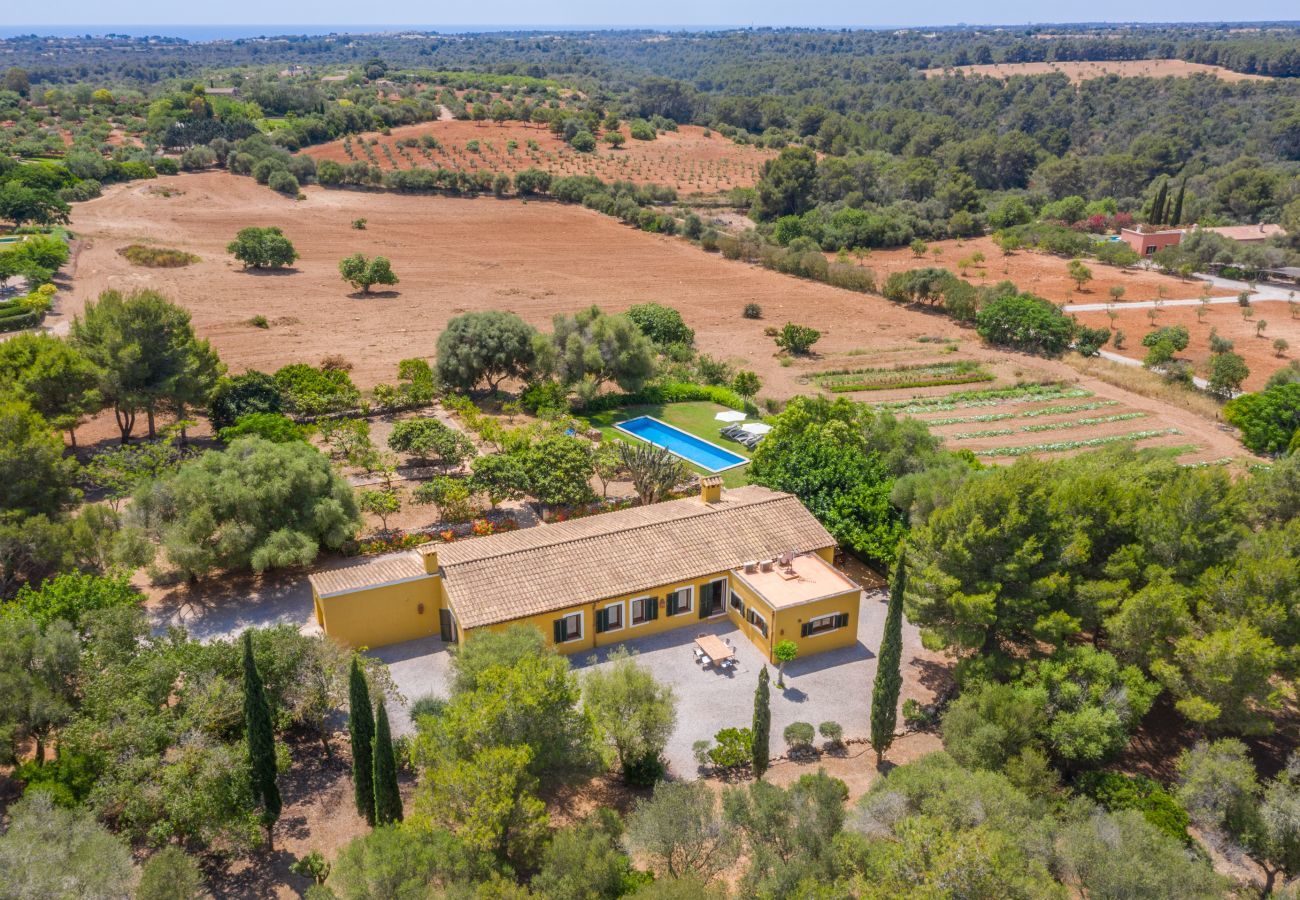 Finca in Manacor - Ses Cases Son Blat, Finca 5StarsHome Mallorca