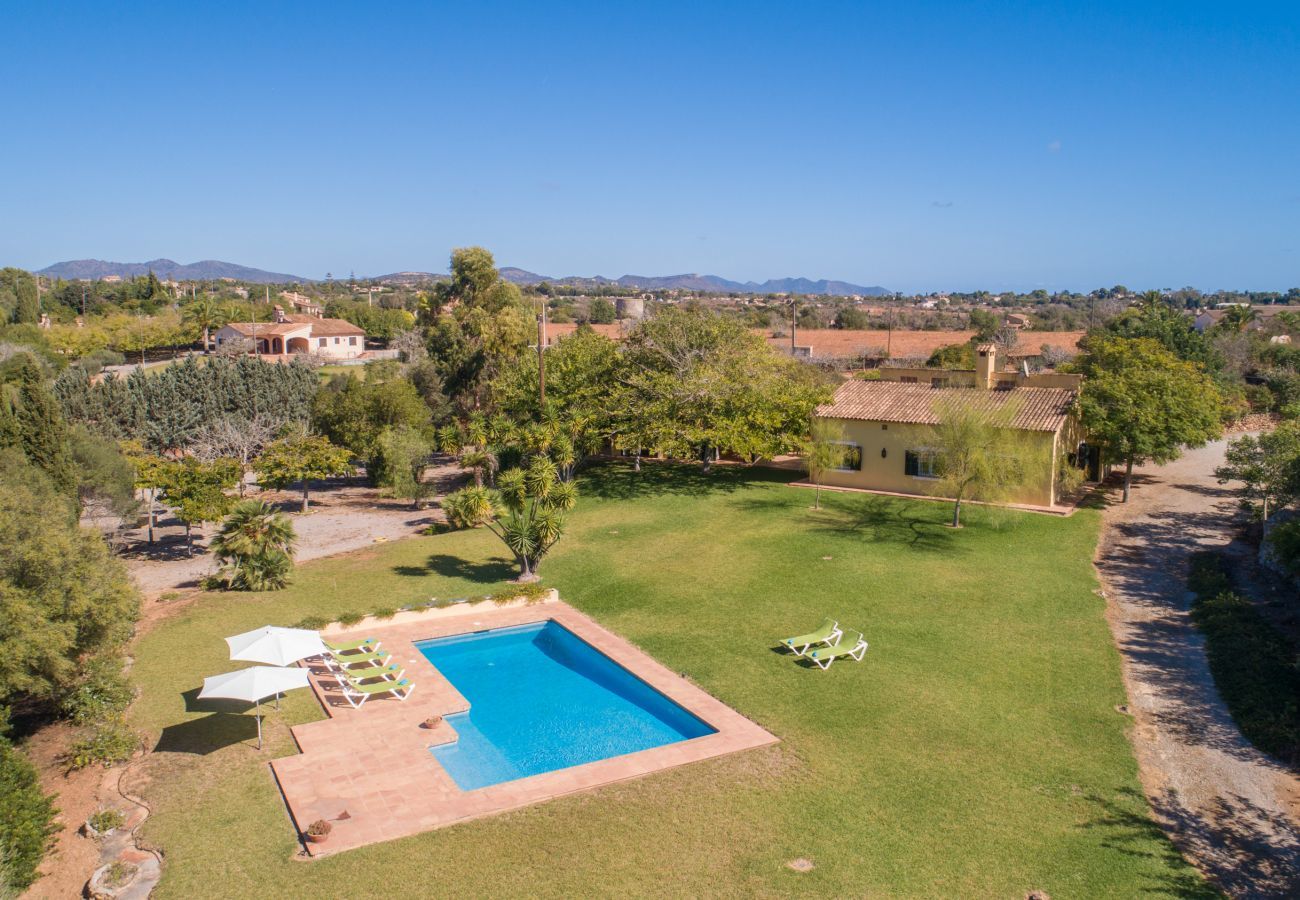 Finca in Manacor - Sestador Blat, Finca 5StarsHome Mallorca