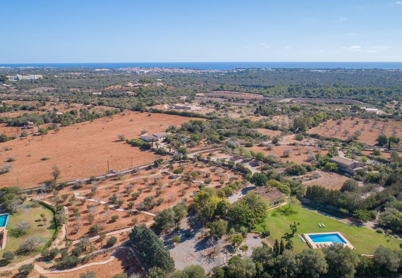 Finca in Manacor - Sestador Blat, Finca 5StarsHome Mallorca