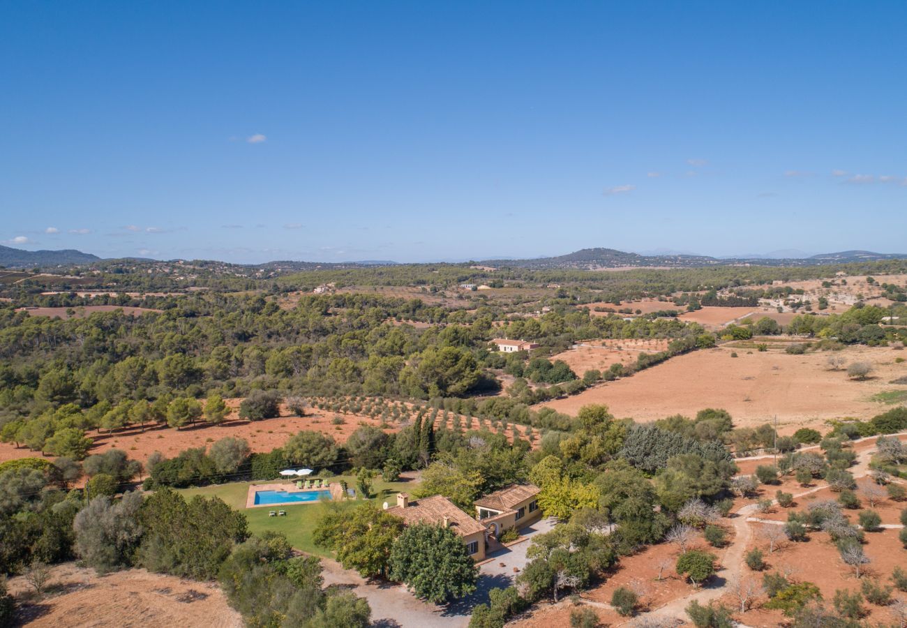 Finca in Manacor - Sestador Blat, Finca 5StarsHome Mallorca