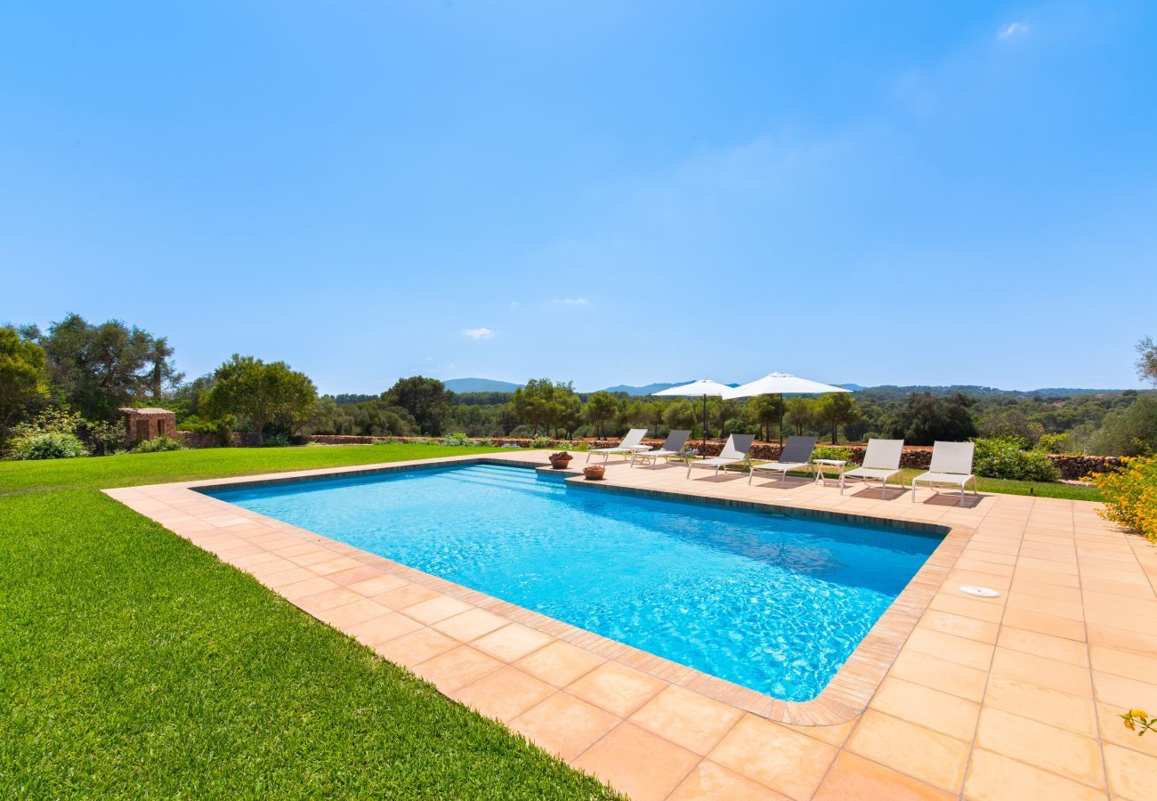 Finca in Manacor - Sestador Blat, Finca 5StarsHome Mallorca