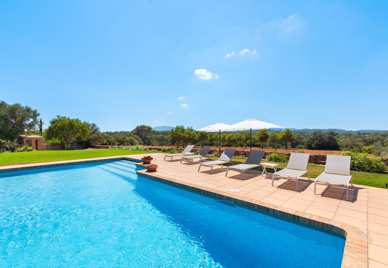 Finca in Manacor - Sestador Blat, Finca 5StarsHome Mallorca