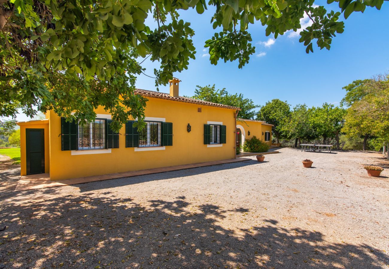 Finca in Manacor - Sestador Blat, Finca 5StarsHome Mallorca