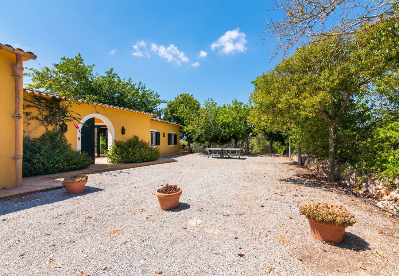 Finca in Manacor - Sestador Blat, Finca 5StarsHome Mallorca