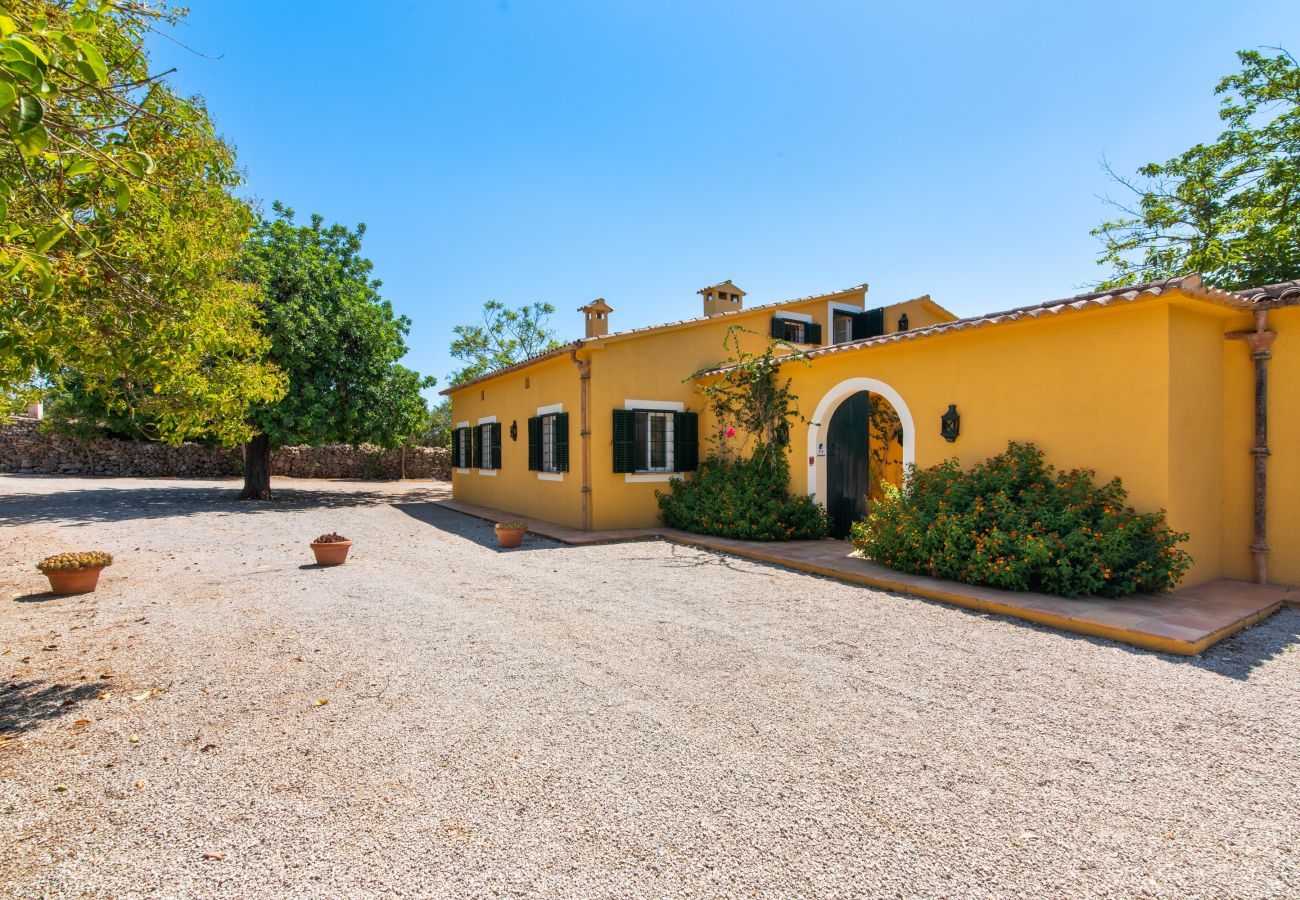 Finca in Manacor - Sestador Blat, Finca 5StarsHome Mallorca