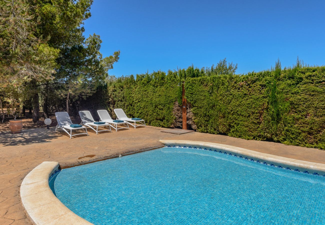 Villa in Sant Josep de Sa Talaia - Le Oasis, Villa 5StarsHome Ibiza