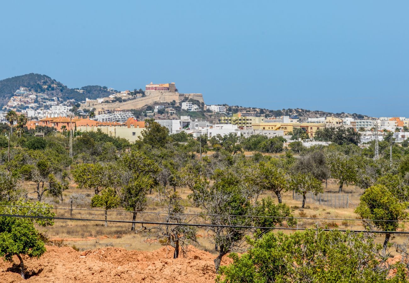 Villa in Sant Josep de Sa Talaia - Le Oasis, Villa 5StarsHome Ibiza