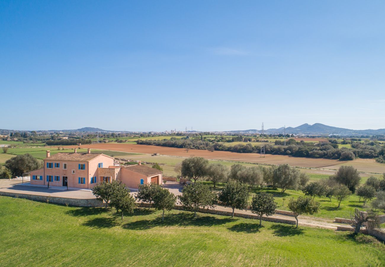 Villa in Manacor - Bessons Ila, Villa 5StarsHome Mallorca