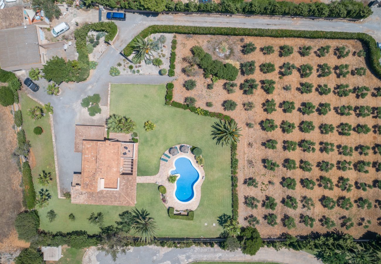 Villa in Felanitx - S'hort d'Or, Finca 5StarsHome Mallorca