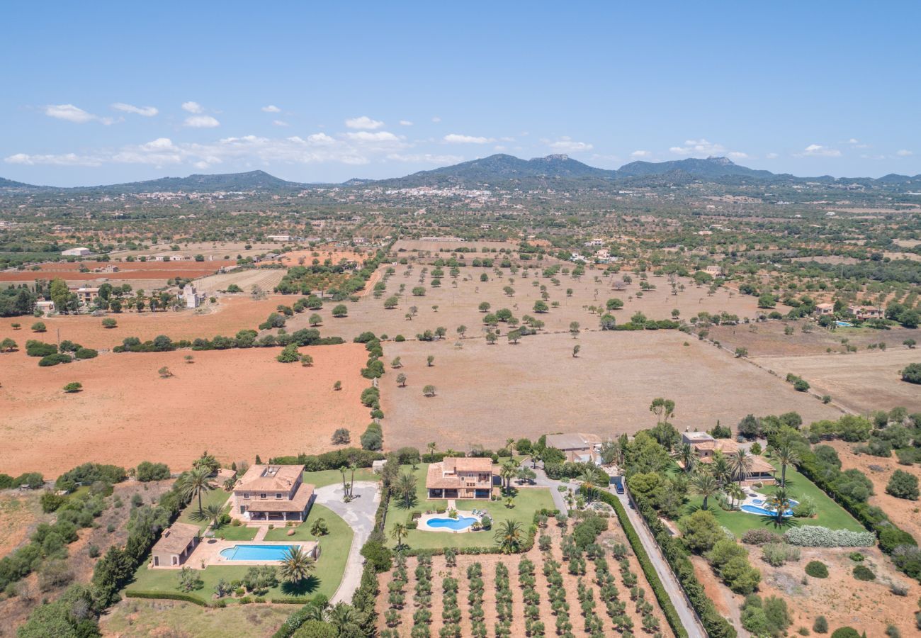 Villa in Felanitx - S'hort d'Or, Finca 5StarsHome Mallorca