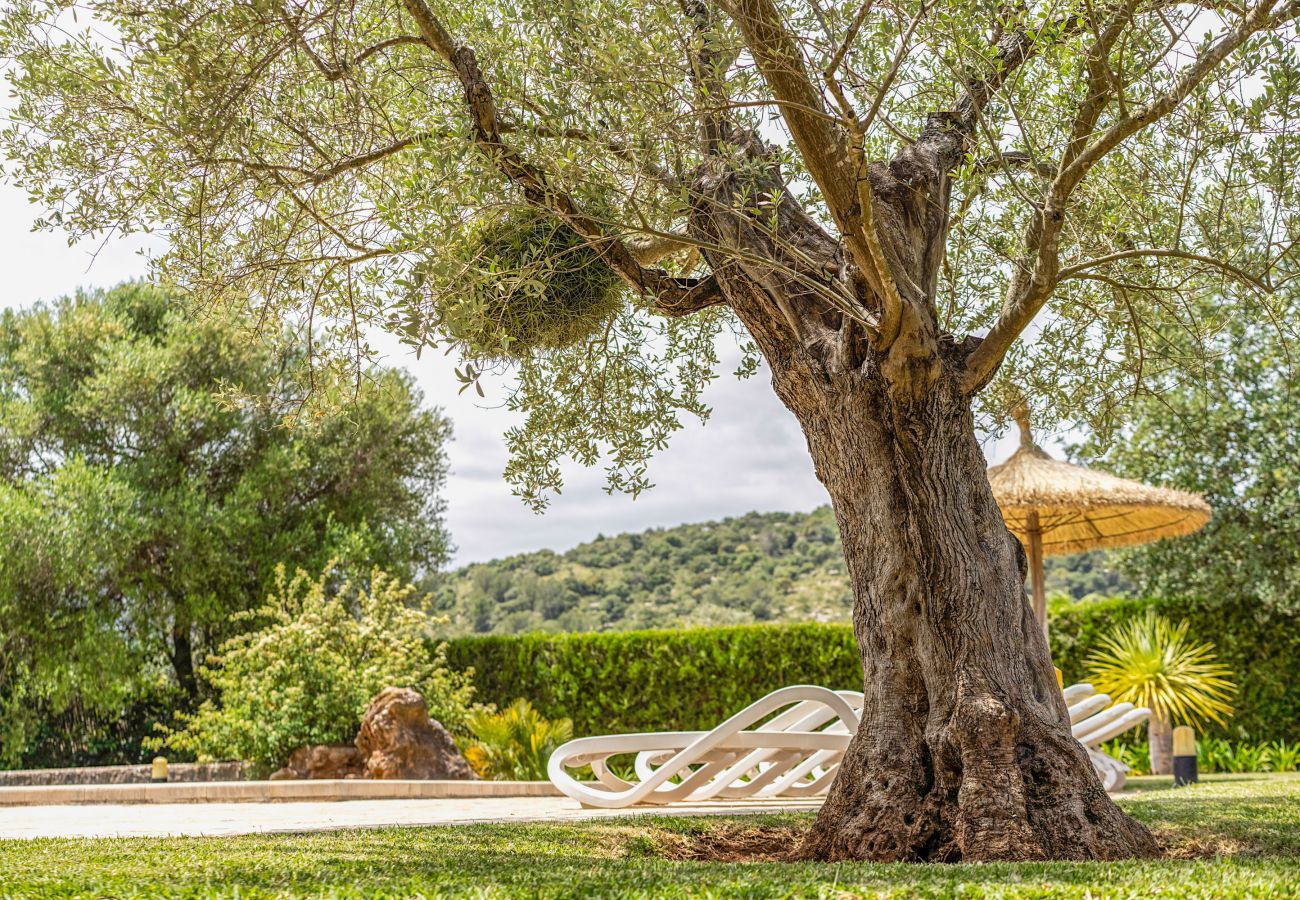 Finca in Pollensa / Pollença - Buchaca, Villa-Finca 5StarsHome Mallorca