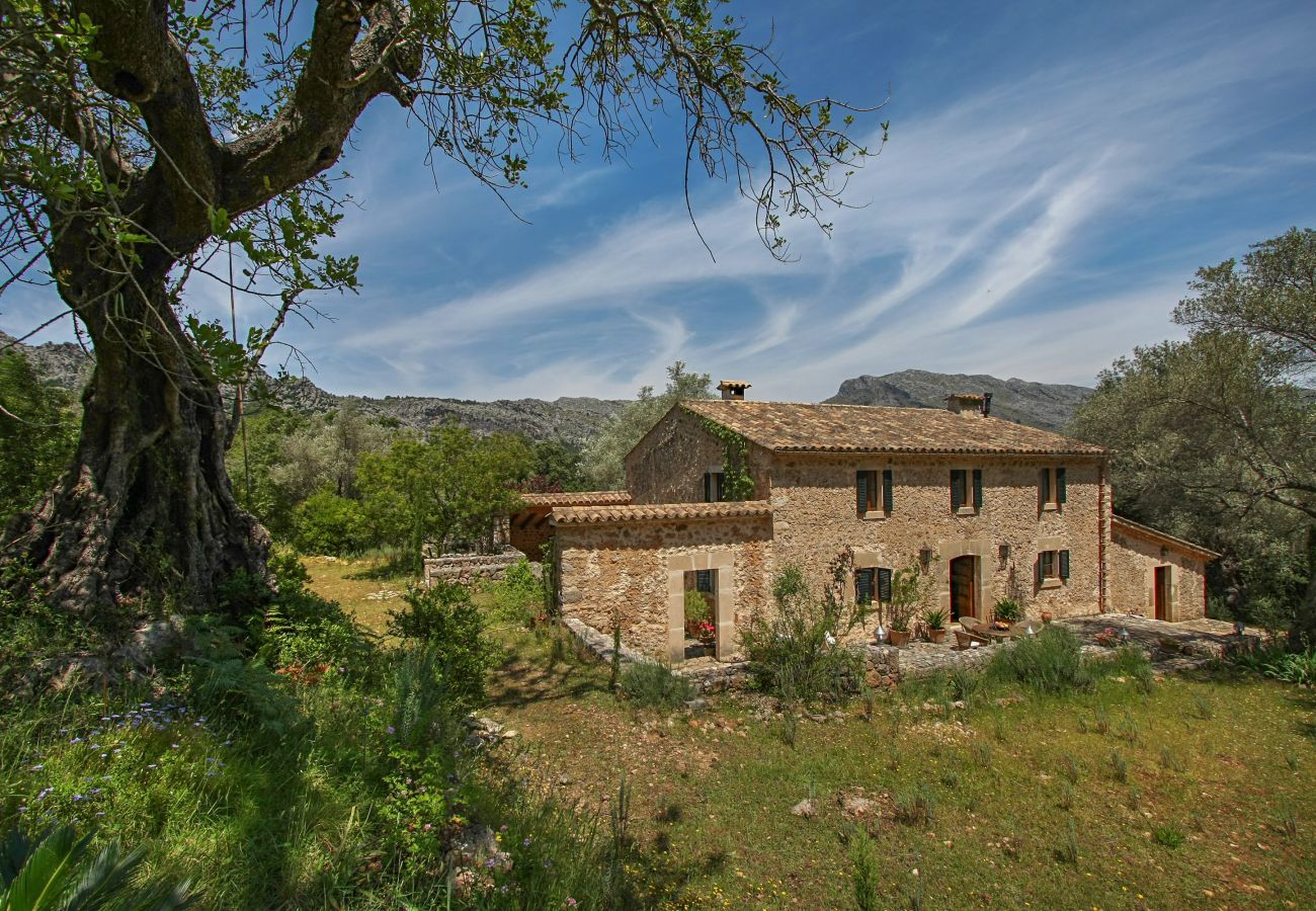 Finca in Pollensa / Pollença - Mon Mallorqui Pas Col, Finca 5StarsHome Mallorca