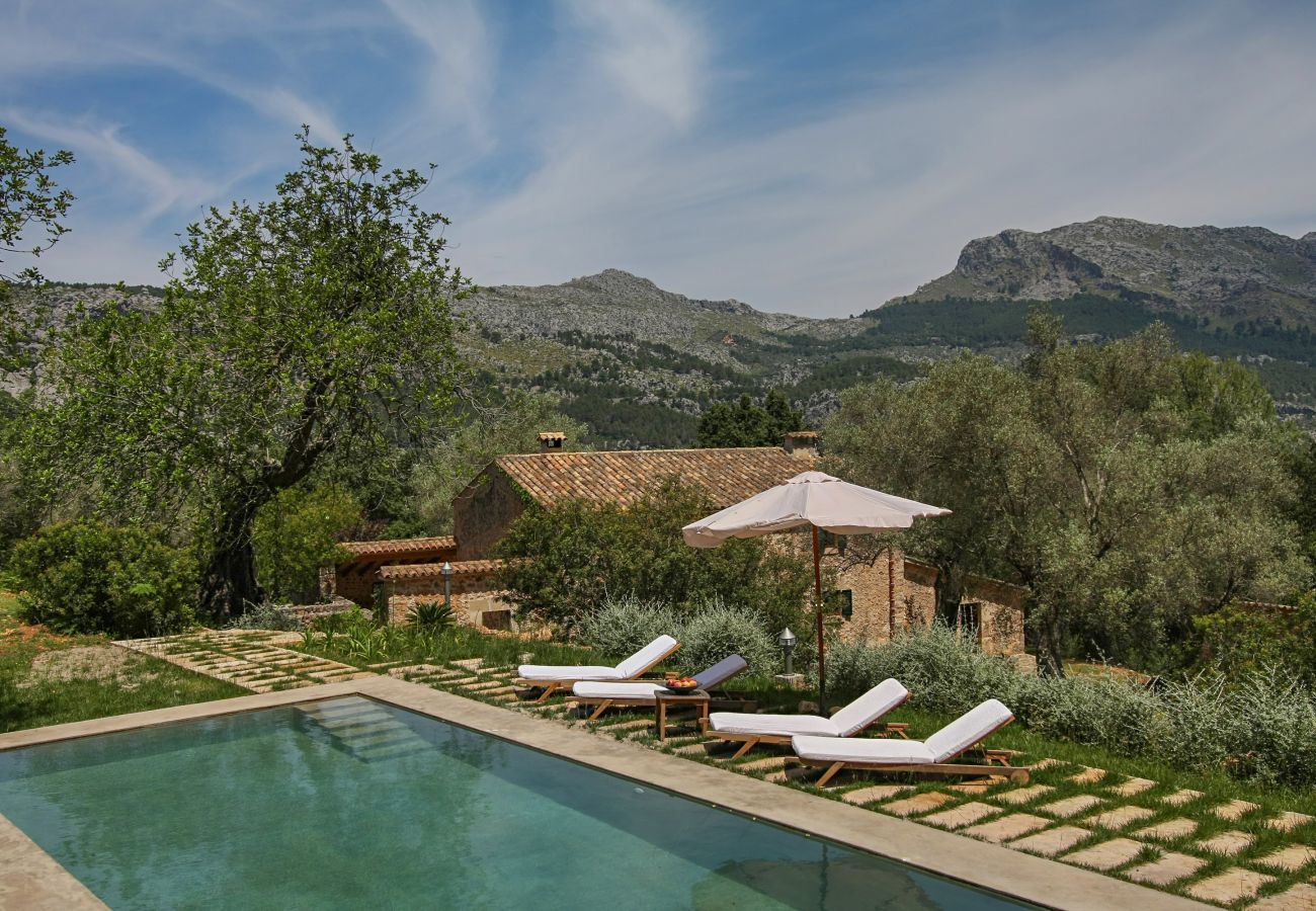 Finca in Pollensa / Pollença - Mon Mallorqui Pas Col, Finca 5StarsHome Mallorca