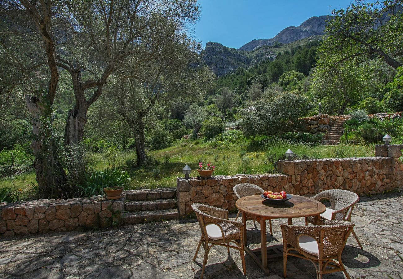 Finca in Pollensa / Pollença - Mon Mallorqui Pas Col, Finca 5StarsHome Mallorca