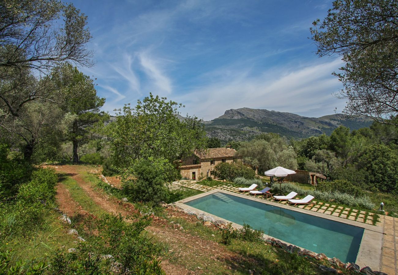 Finca in Pollensa / Pollença - Mon Mallorqui Pas Col, Finca 5StarsHome Mallorca