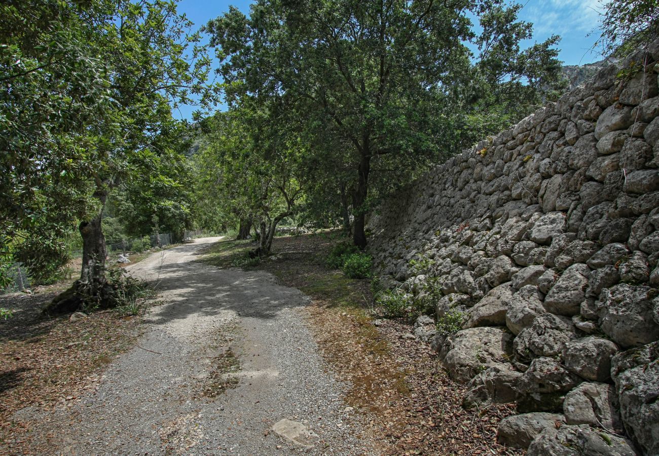 Finca in Pollensa / Pollença - Mon Mallorqui Pas Col, Finca 5StarsHome Mallorca