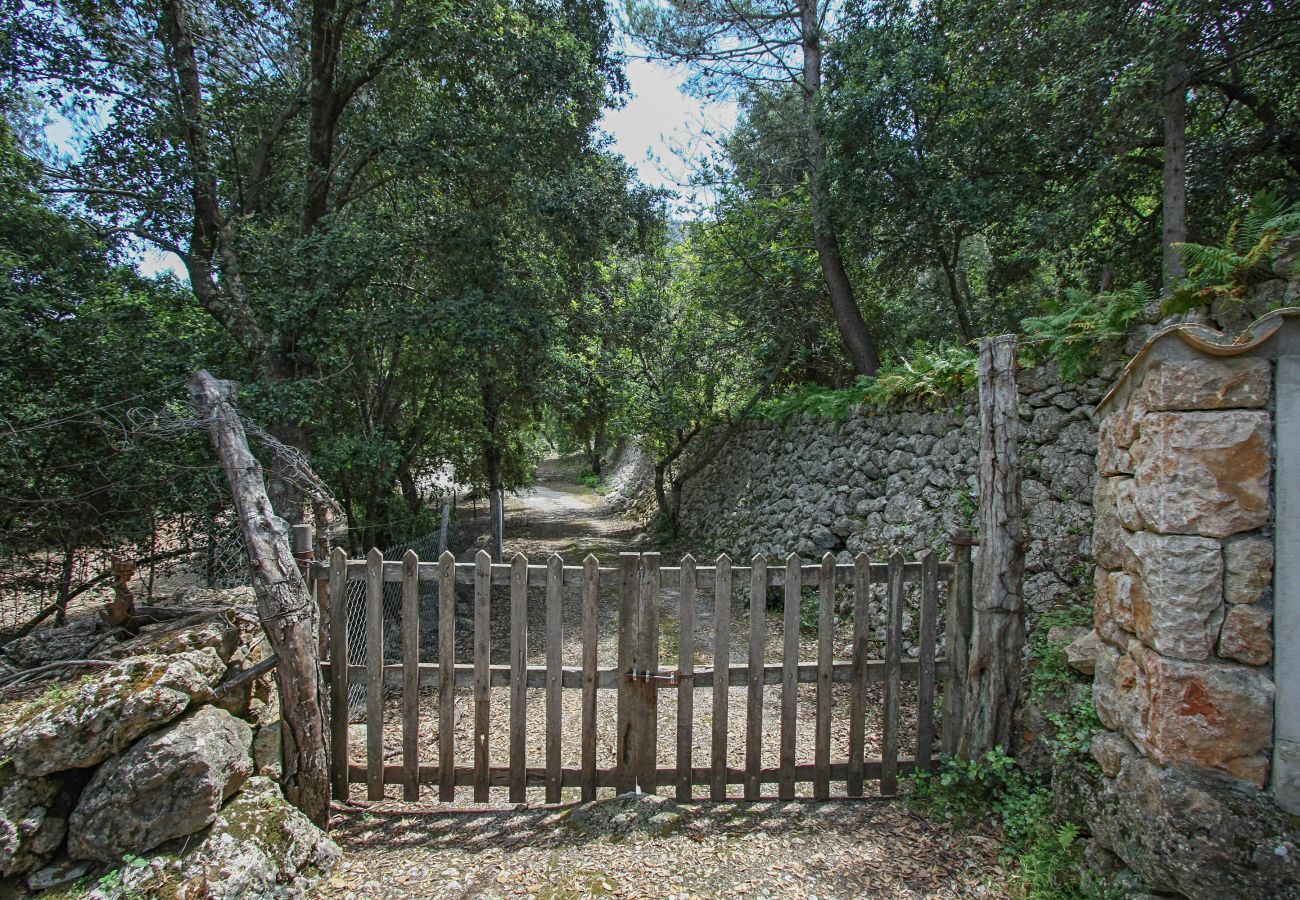 Finca in Pollensa / Pollença - Mon Mallorqui Pas Col, Finca 5StarsHome Mallorca