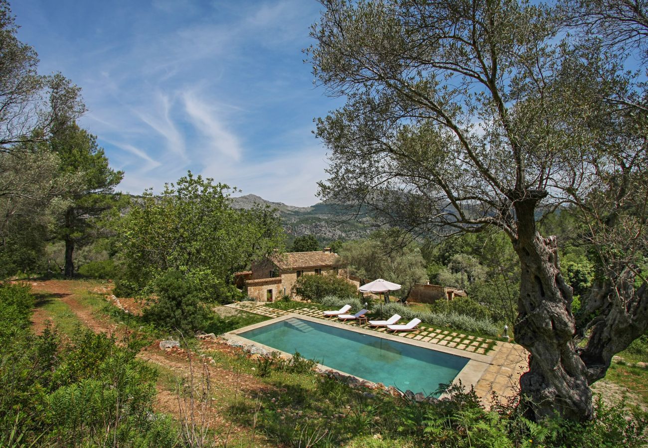 Finca in Pollensa / Pollença - Mon Mallorqui Pas Col, Finca 5StarsHome Mallorca