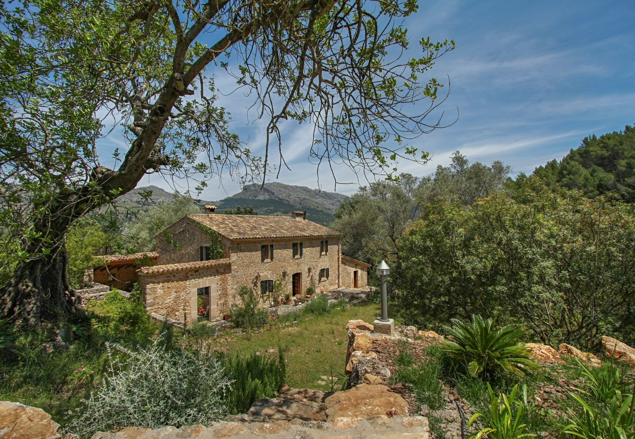 Finca in Pollensa / Pollença - Mon Mallorqui Pas Col, Finca 5StarsHome Mallorca