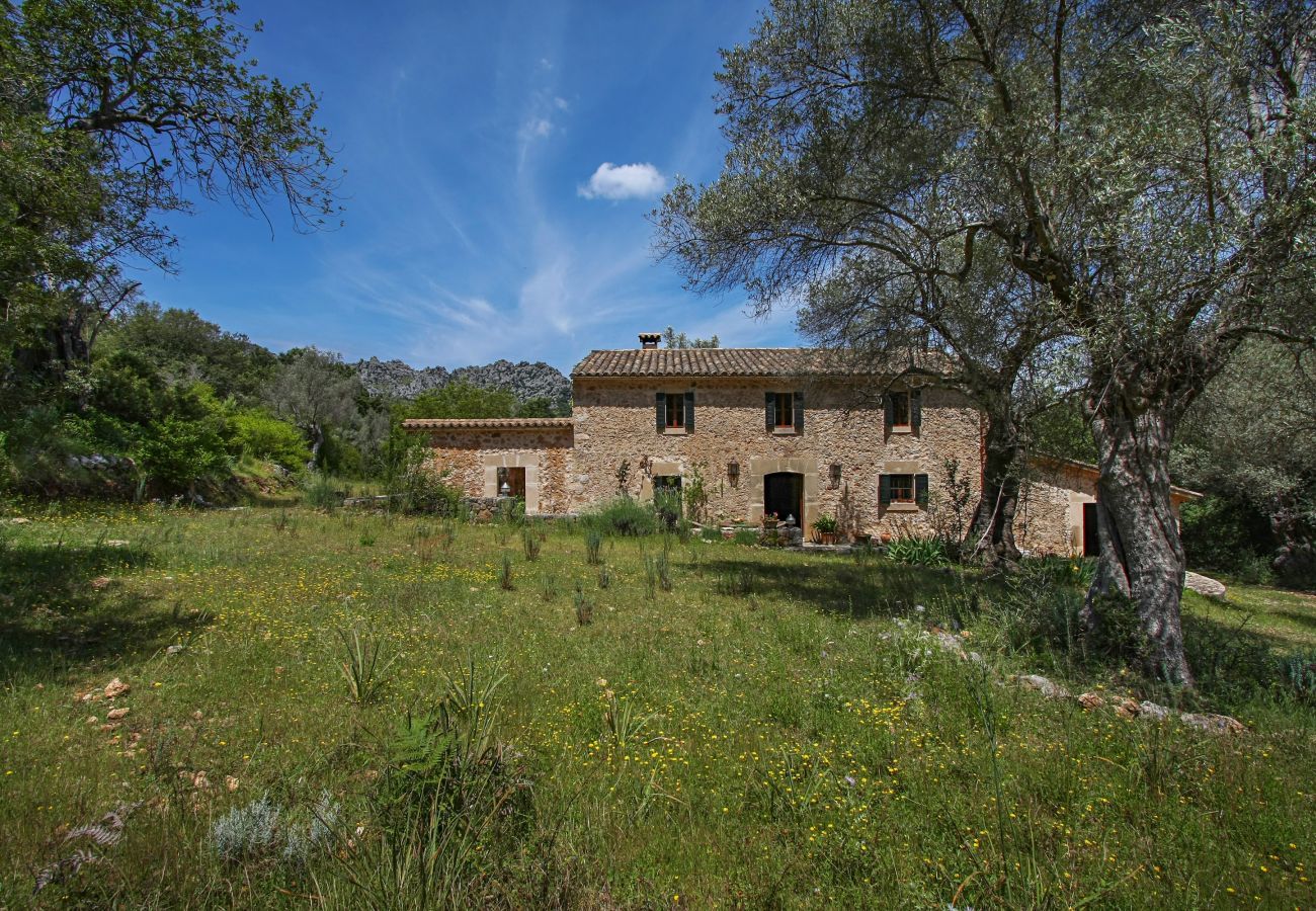 Finca in Pollensa / Pollença - Mon Mallorqui Pas Col, Finca 5StarsHome Mallorca