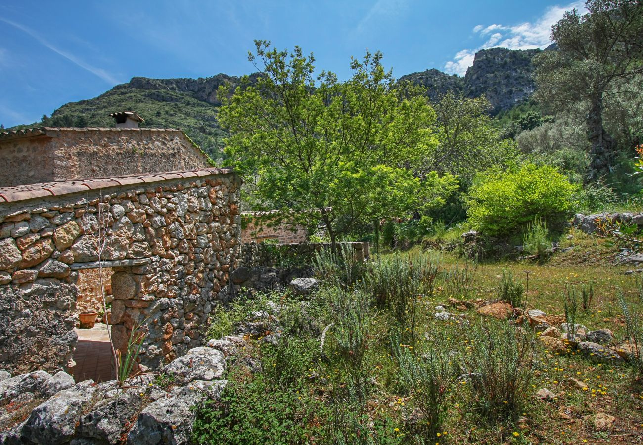 Finca in Pollensa / Pollença - Mon Mallorqui Pas Col, Finca 5StarsHome Mallorca