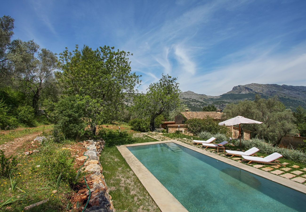 Finca in Pollensa / Pollença - Mon Mallorqui Pas Col, Finca 5StarsHome Mallorca