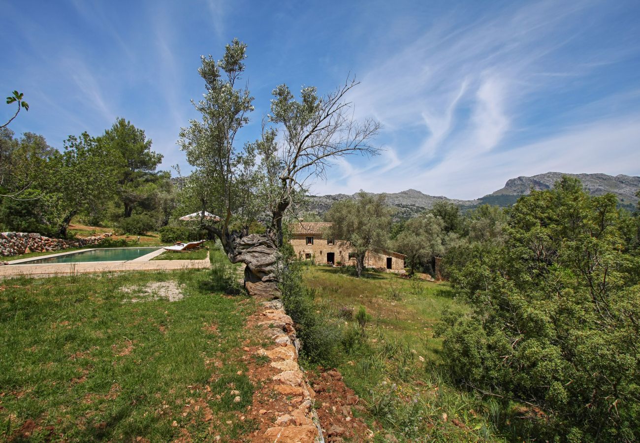 Finca in Pollensa / Pollença - Mon Mallorqui Pas Col, Finca 5StarsHome Mallorca