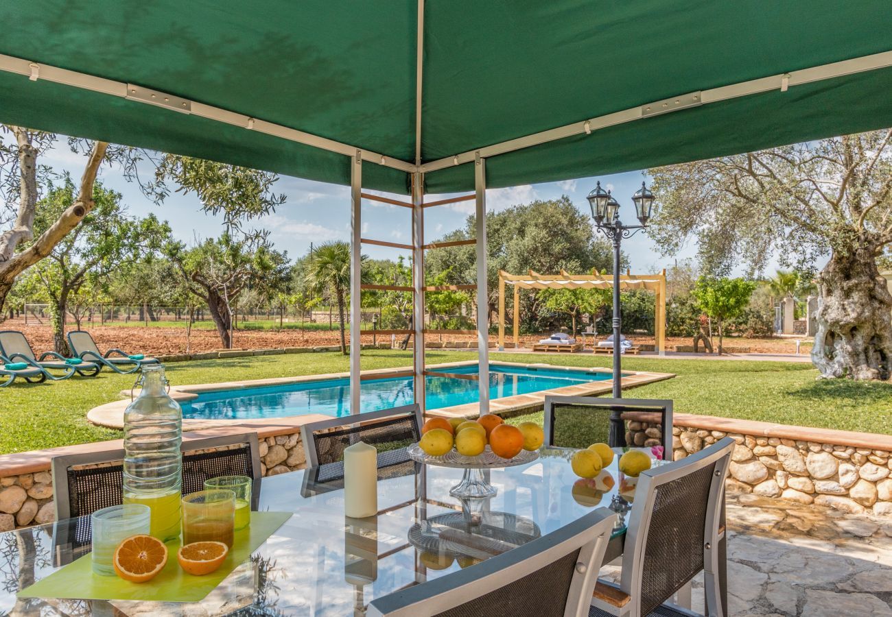 Finca in Sa Pobla - Carroza, Finca 5StarsHome Mallorca