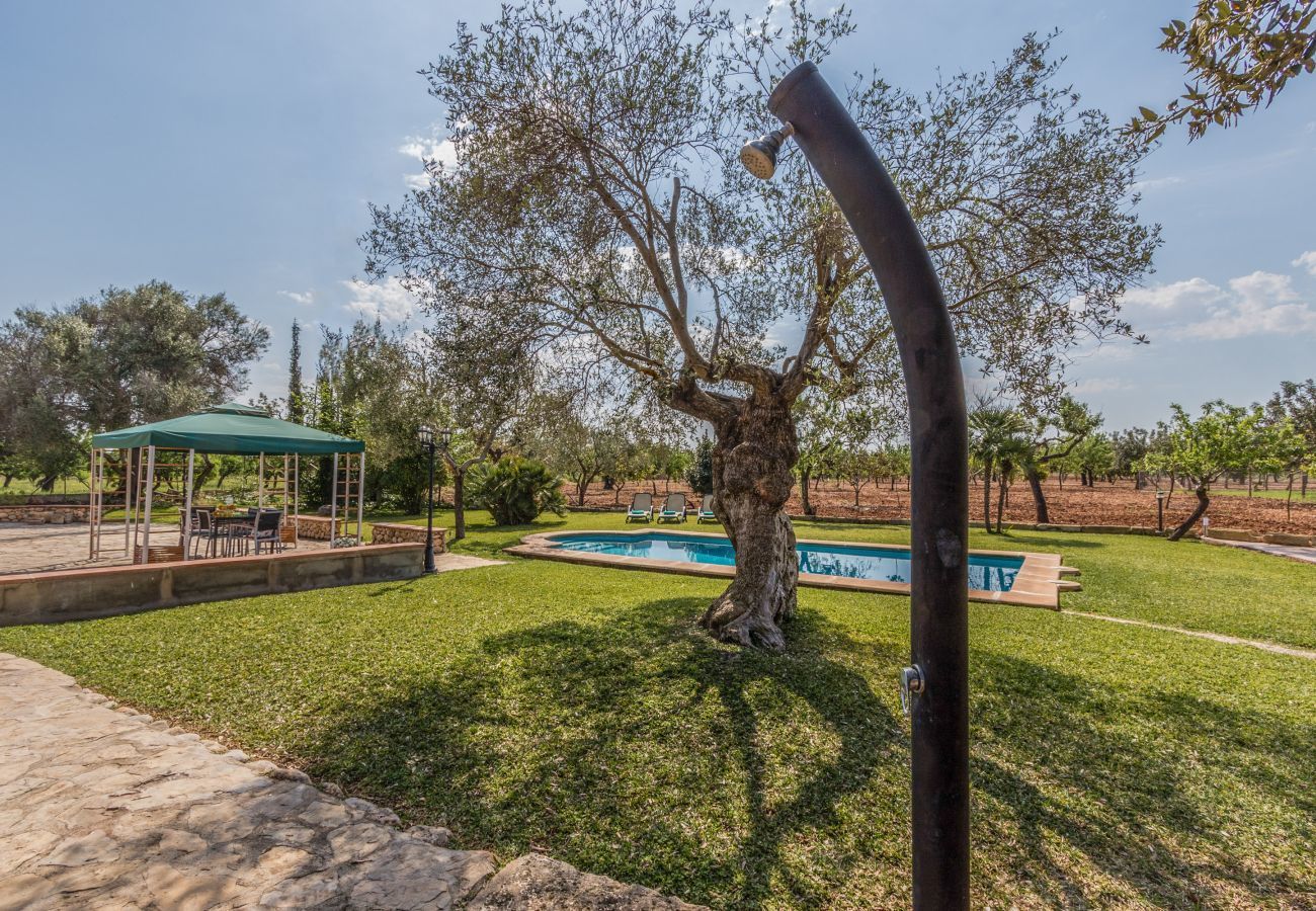 Finca in Sa Pobla - Carroza, Finca 5StarsHome Mallorca