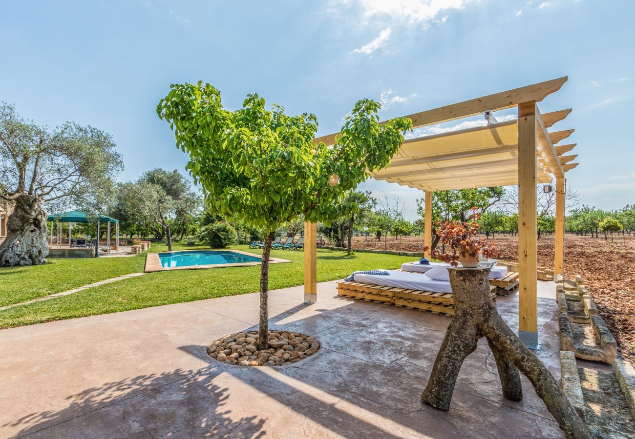 Finca in Sa Pobla - Carroza, Finca 5StarsHome Mallorca