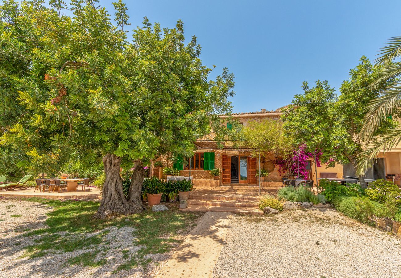 Finca in Binissalem - Alaroters, Villa-Finca 5StarsHome Mallorca