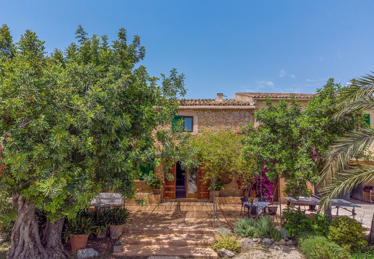 Finca in Binissalem - Alaroters, Villa-Finca 5StarsHome Mallorca