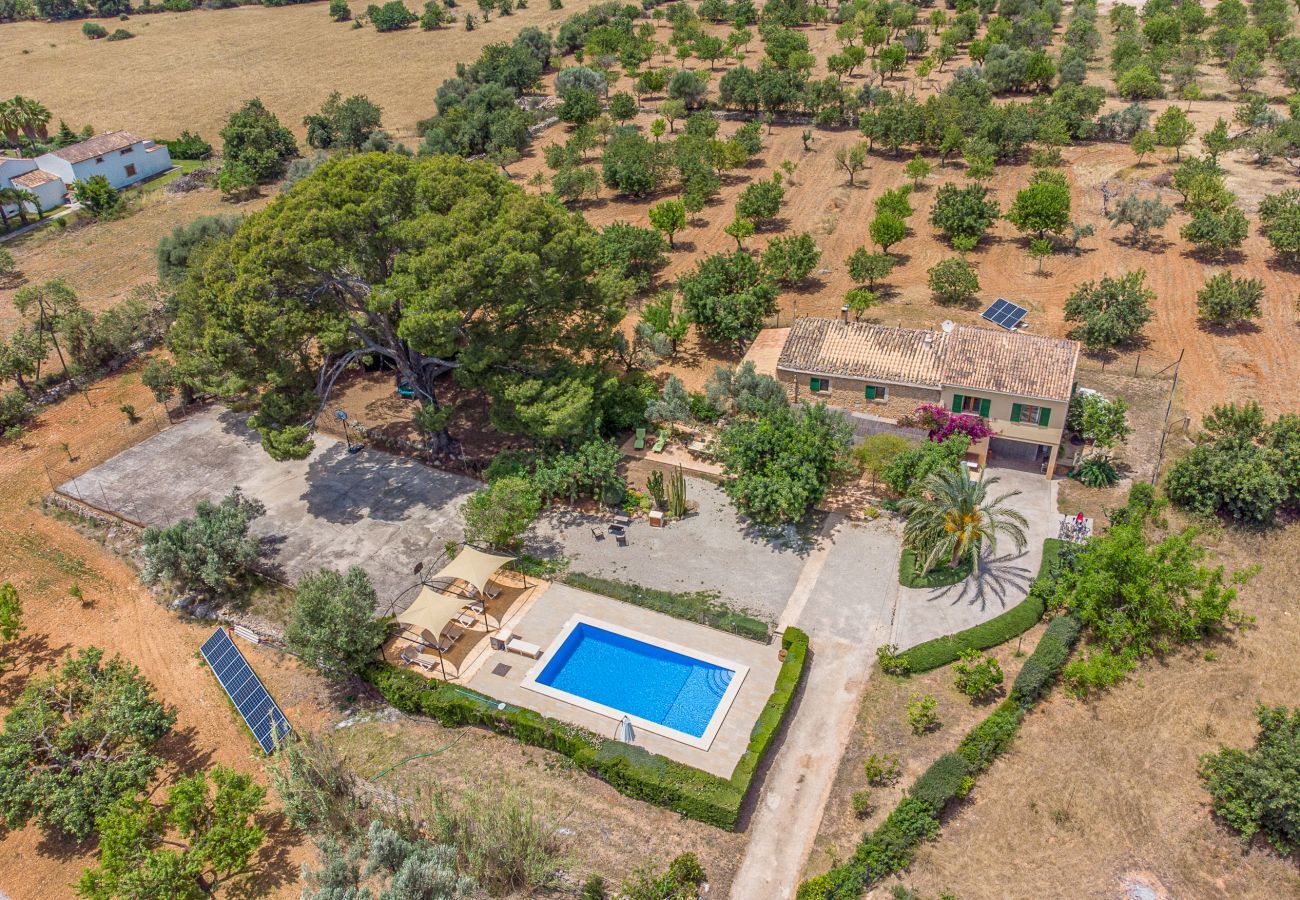 Finca in Binissalem - Alaroters, Villa-Finca 5StarsHome Mallorca