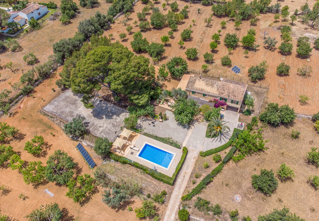 Finca in Binissalem - Alaroters, Villa-Finca 5StarsHome Mallorca