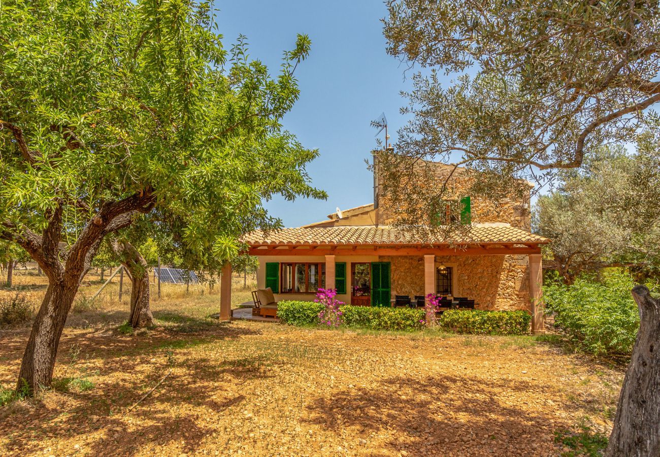 Finca in Binissalem - Alaroters, Villa-Finca 5StarsHome Mallorca