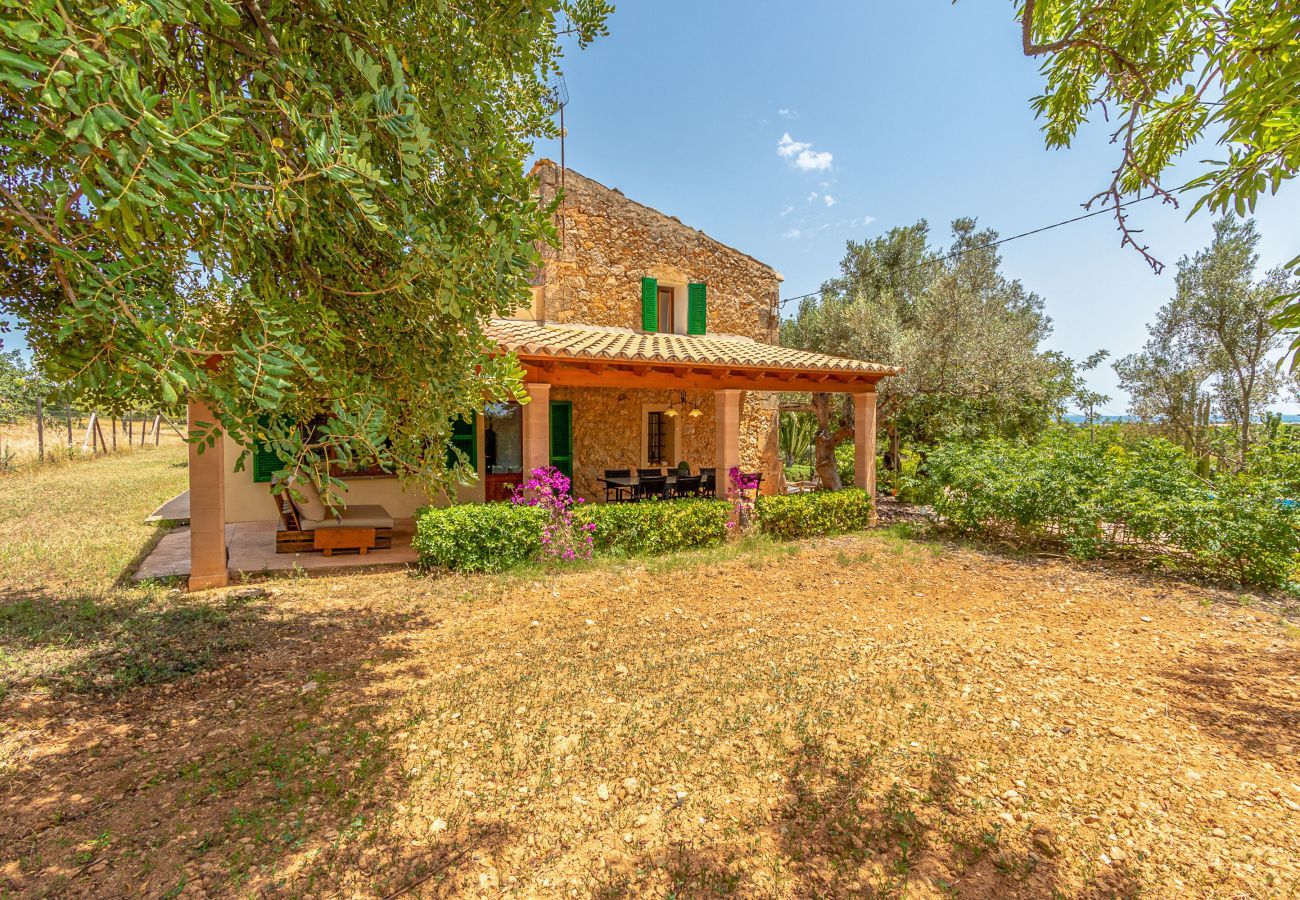 Finca in Binissalem - Alaroters, Villa-Finca 5StarsHome Mallorca