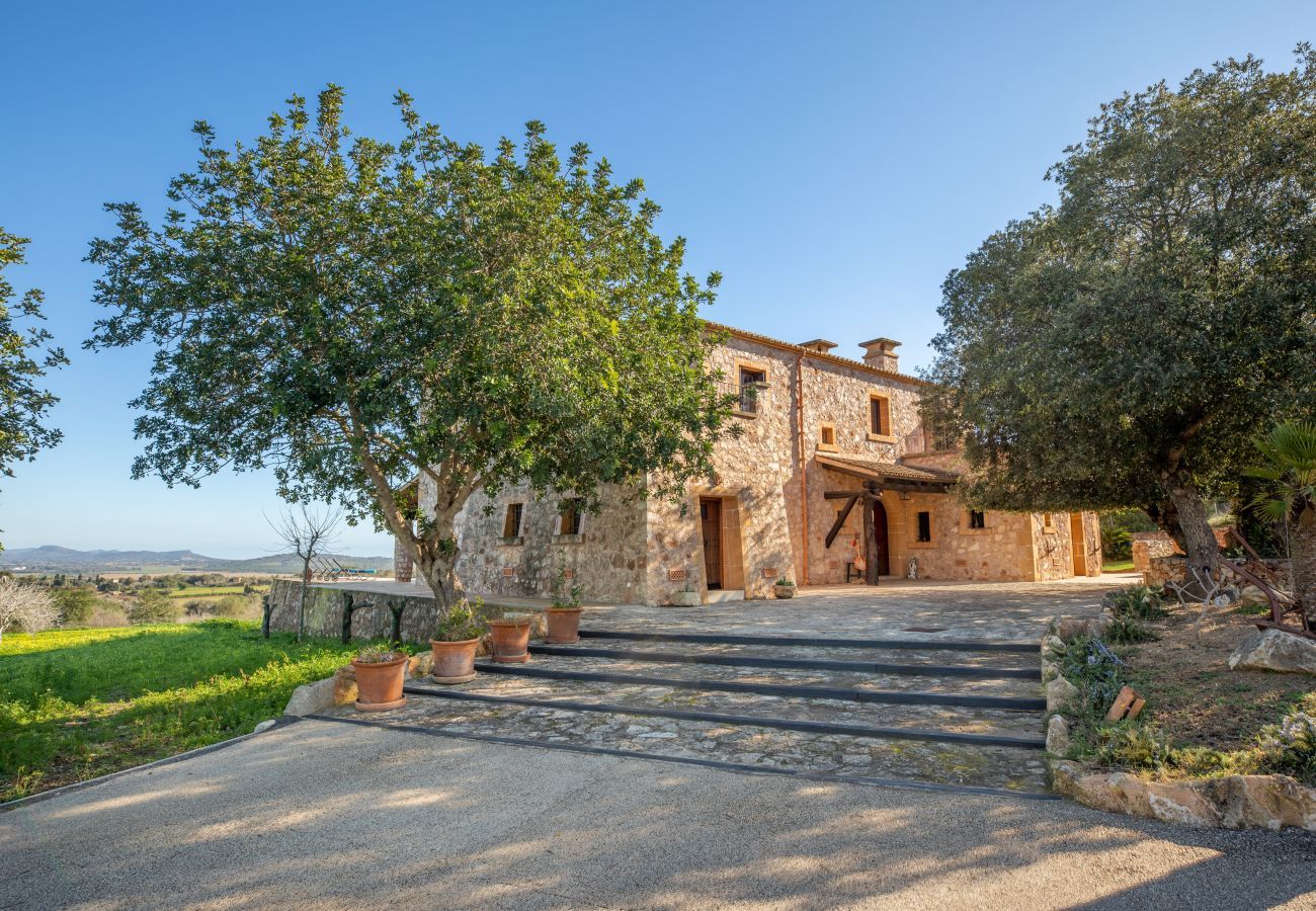 Finca in Manacor - Esturonet, Finca 5StarsHome Mallorca