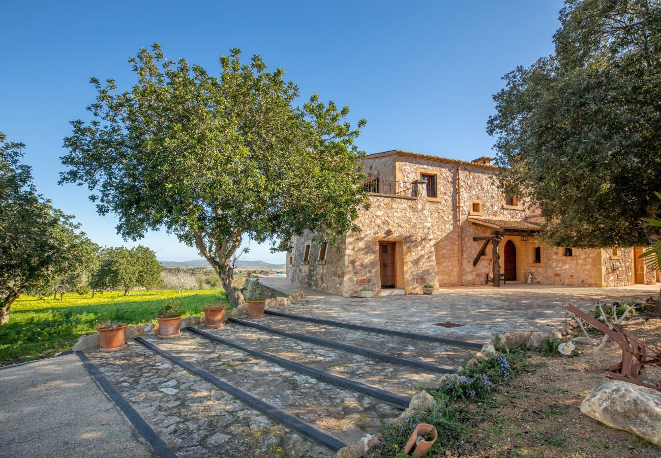 Finca in Manacor - Esturonet, Finca 5StarsHome Mallorca