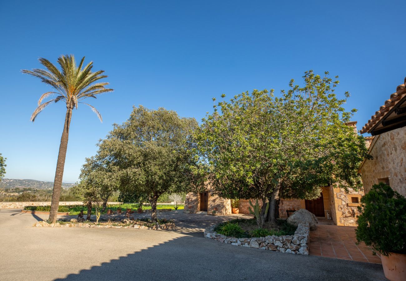 Finca in Manacor - Esturonet, Finca 5StarsHome Mallorca