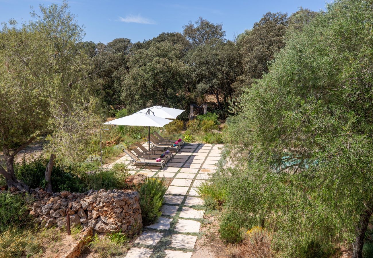 Finca in Costitx - Camadix, Finca 5StarsHome Mallorca