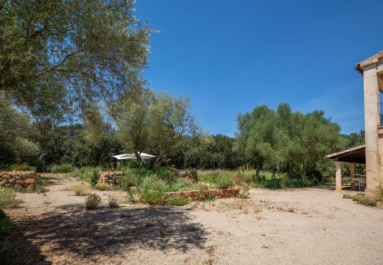 Finca in Costitx - Camadix, Finca 5StarsHome Mallorca